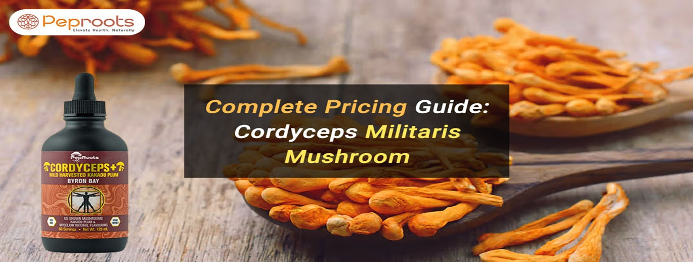 Complete Pricing Guide: Cordyceps Militaris Mushroom