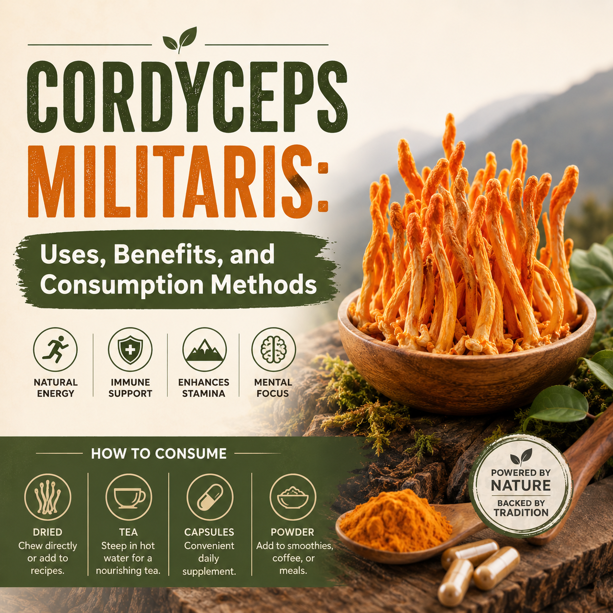 Cordyceps Militaris: Uses, Benefits, and Consumption Methods