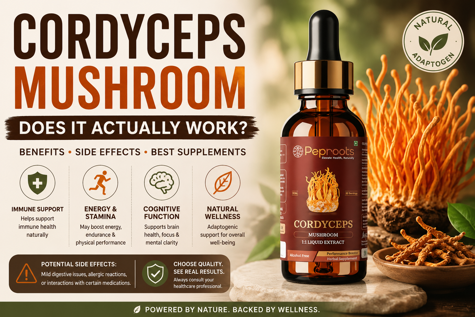 Does Cordyceps Mushroom Actually Work? Benefits, Side Effects & Best Supplements