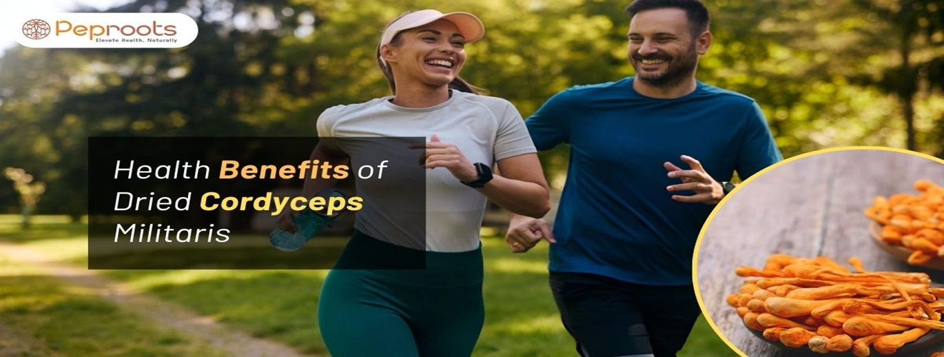 Health Benefits of Dried Cordyceps Militaris
