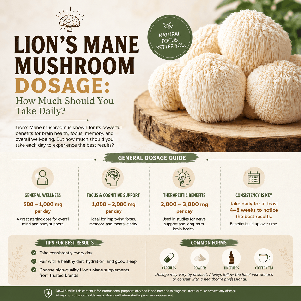 Lion's Mane Mushroom Dosage: How Much Should You Take Daily?