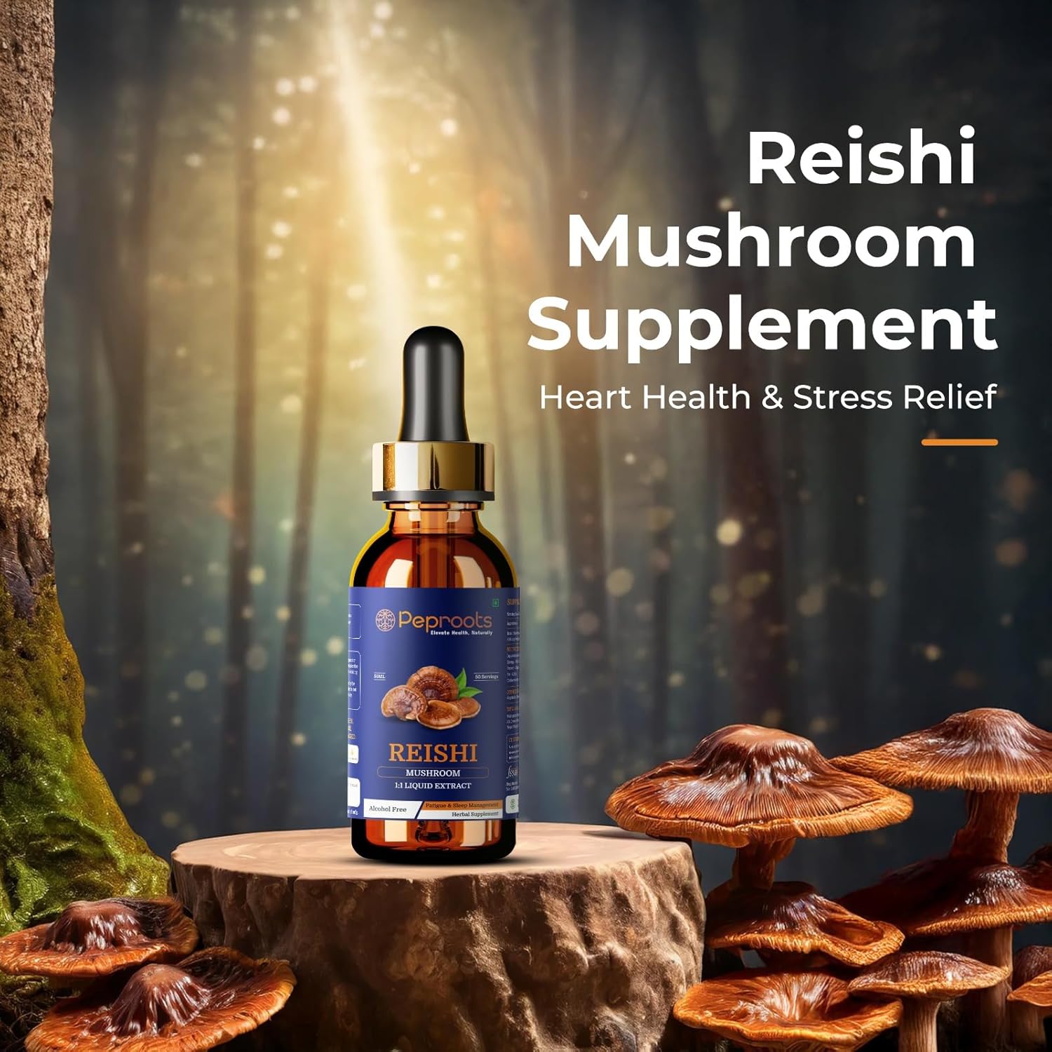 Reishi Mushroom Extract for Stress Relief, Sleep & Immunity