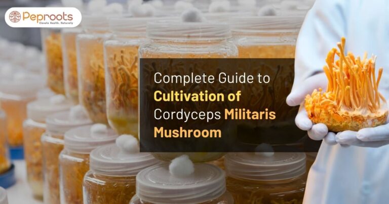 Complete Guide to Cultivation of Cordyceps Militaris Mushroom