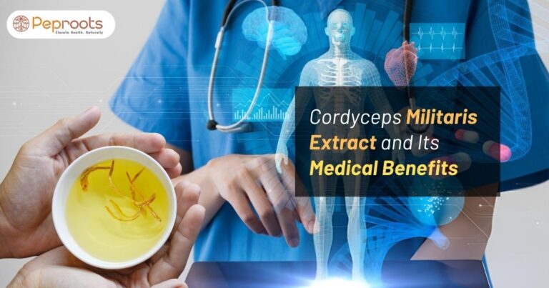 Cordyceps Militaris Extract and Its Medical Benefits