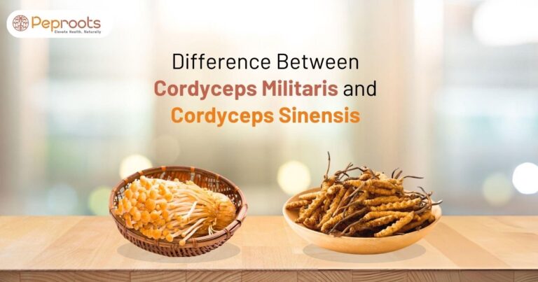 Difference Between Cordyceps Militaris and Cordyceps Sinensis
