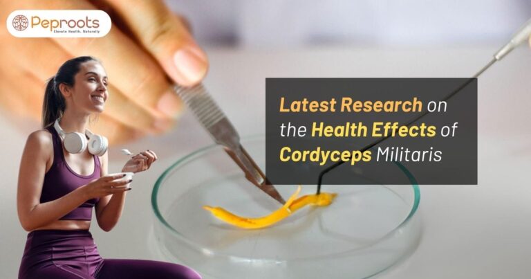 Latest Research on the Health Effects of Cordyceps Militaris