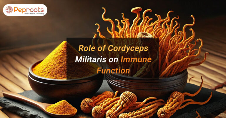 Role of Cordyceps Militaris on Immune Function