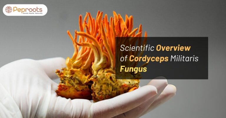 Scientific Overview of Cordyceps Militaris Fungus