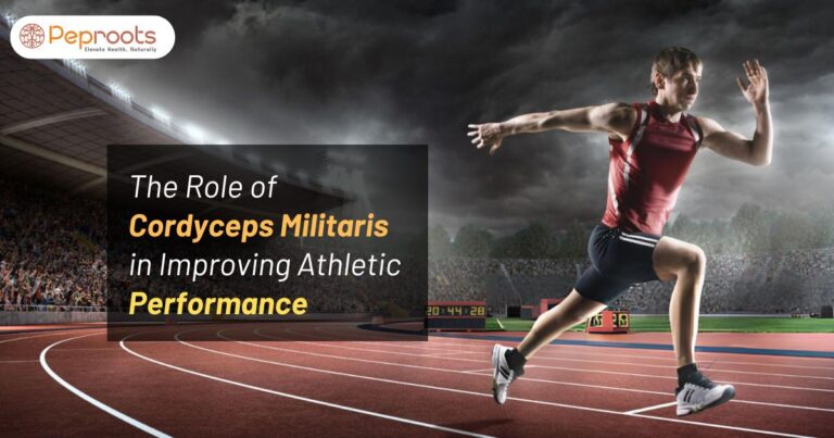 The Role of Cordyceps Militaris in Improving Athletic Performance