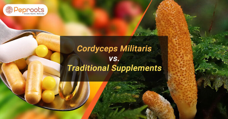 Cordyceps Militaris vs. Traditional Supplements