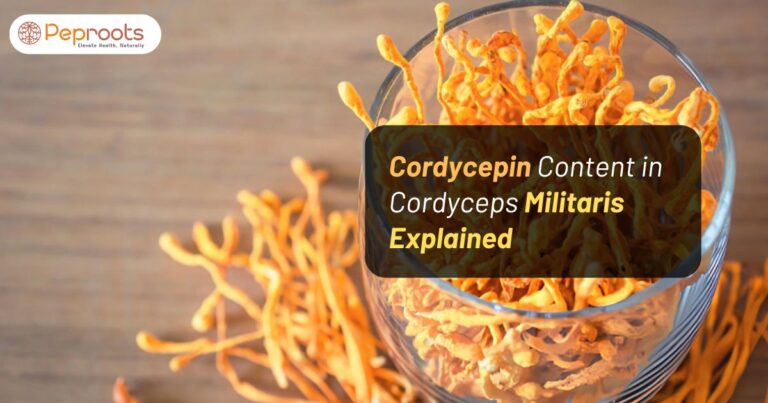 Cordycepin Content in Cordyceps Militaris Explained