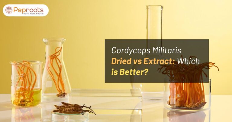 Cordyceps Militaris Dried vs Extract: Which is Better?