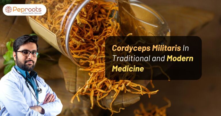Cordyceps Militaris In Traditional and Modern Medicine