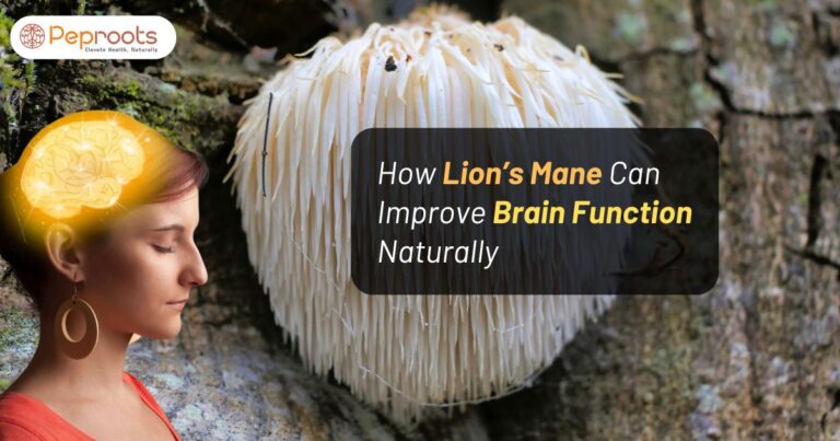 How Lion’s Mane Can Improve Brain Function Naturally?
