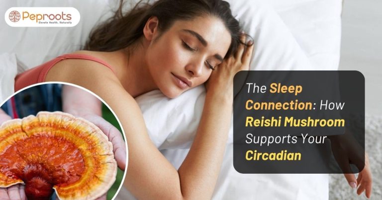 The Sleep Connection: How Reishi Mushroom Supports Your Circadian Rhythm