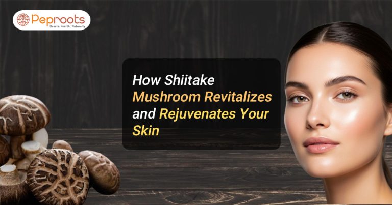 How Shiitake Mushroom Revitalizes and Rejuvenates Your Skin