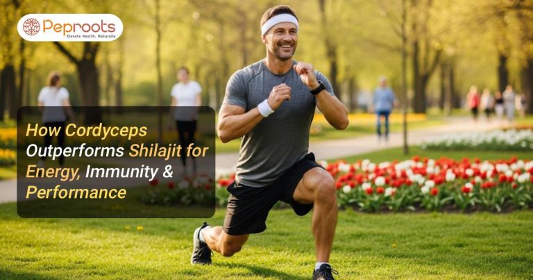 How Cordyceps Outperforms Shilajit for Energy, Immunity & Performance