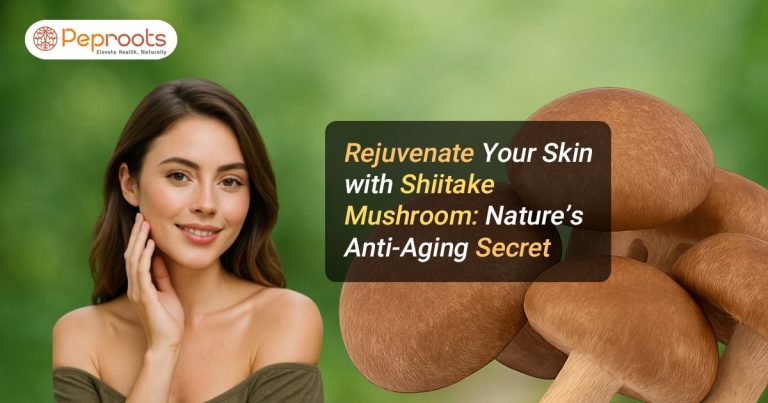Rejuvenate Your Skin with Shiitake Mushroom: Nature’s Anti-Aging Secret