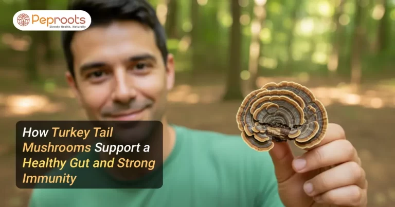 How Turkey Tail Mushrooms Support a Healthy Gut and Strong Immunity