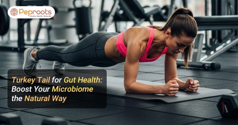 Turkey Tail for Gut Health: Boost Your Microbiome the Natural Way