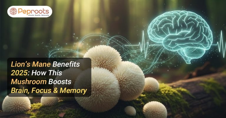 Lion’s Mane Benefits 2025: How This Mushroom Boosts Brain, Focus & Memory