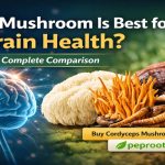 Which Mushroom Is Best for Brain Health? Complete Comparison