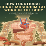 How Functional Mushroom Extracts Work in the Body